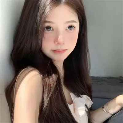 王牌御史